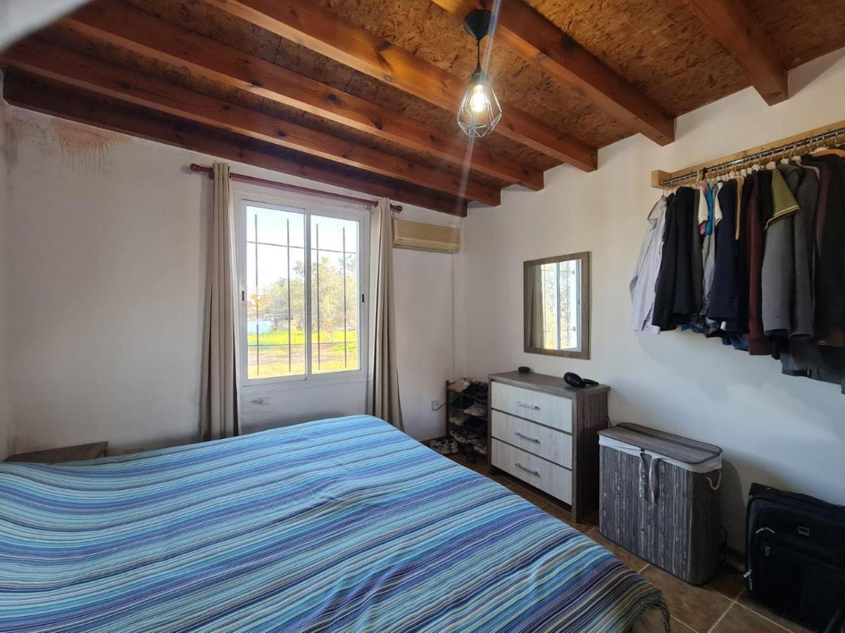 Spacious Studio In Yeroskipou Koloni 외부 사진