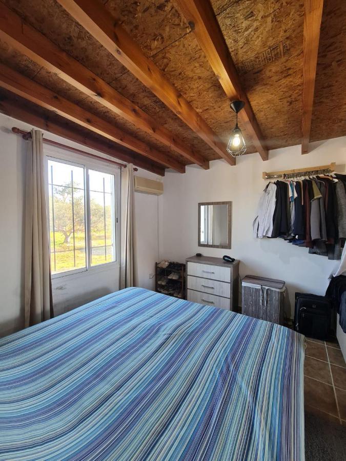 Spacious Studio In Yeroskipou Koloni 외부 사진